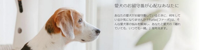 ����Ă��Ă����ł��ꏏ�uFurbo�h�b�O�J�����v���T�C�g